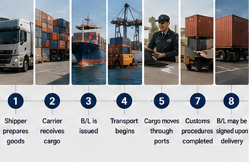 Proces de expediere pas cu pas folosind documente de conosament în logistică internațională